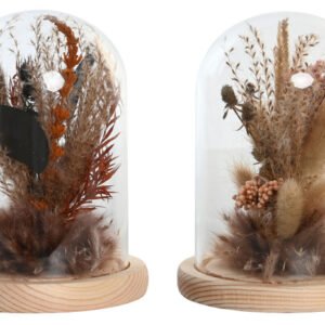 Decorazione Fiore Secco Cristallo 12x12x17